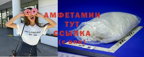 шишки Анива