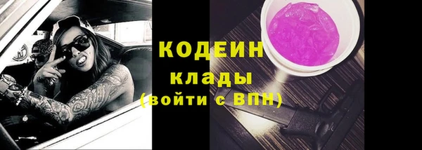 шишки Анива