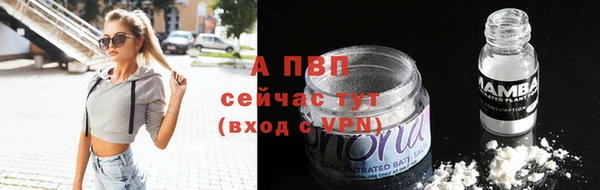 гашик Тавда
