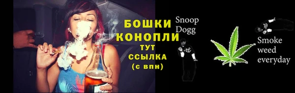 соль ск Медногорск