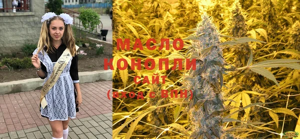 молекула духа Медвежьегорск