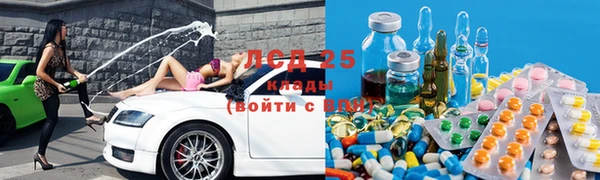 шишки Анива